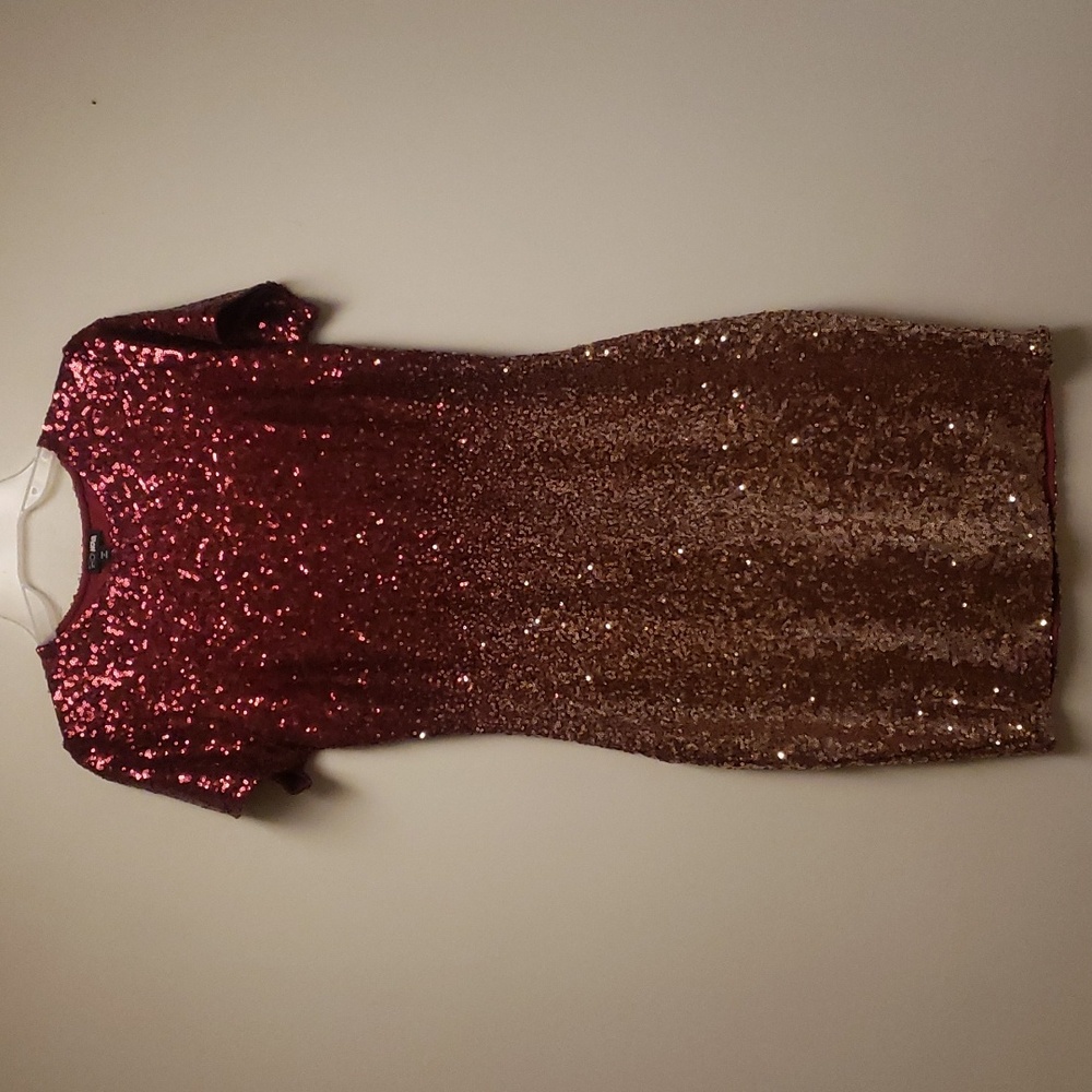 Fashion Nova Sequin Dress (XL)